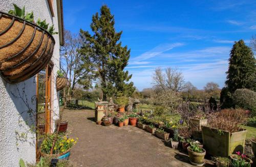 Farlow House | White Cottage