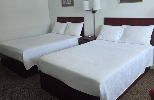 Wawa Hotel | White Fang Motel