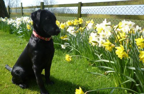 East Haddon House | White House Farm Cottages