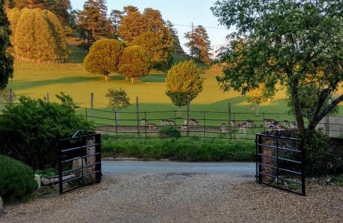 Stonor House | White Pond Farm