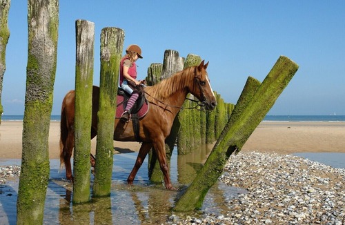 Bleriot-Plage Apartment | White Studio nez sangatte escalles