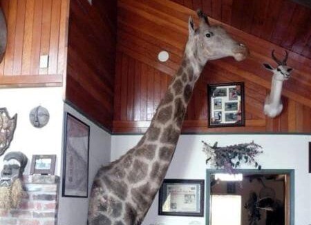 Fenn House | Whitebird Summit 5- room Lodge