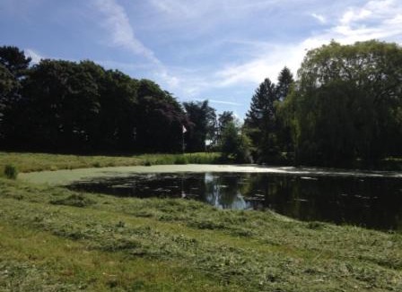 Astbury Bed & Breakfast | Whitethorn Bed and Breakfast