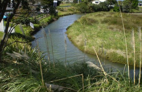 Whitianga Resort | Whitianga Campground