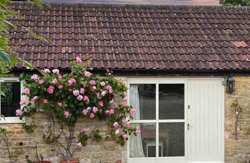 Whitley House | Whitley Coach House