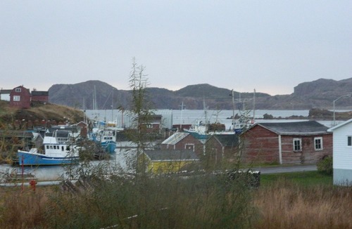 Twillingate Hotel | Whitsha Inn B&B