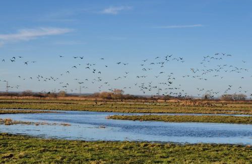 Seasalter Resort | Whitstable - 2 Bedroom Sleeps 6