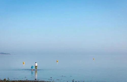 Seasalter Apartment | Whitstable Vacation