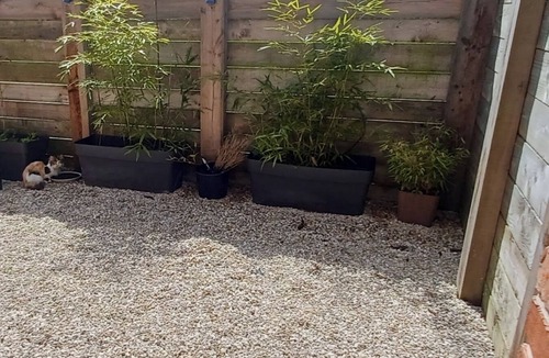 Wittes House | Whole House