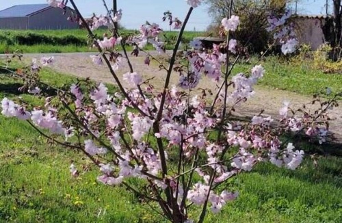 Montans House | Why not? - MONTANS