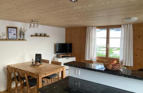 Mitloedi Apartment | Wies
