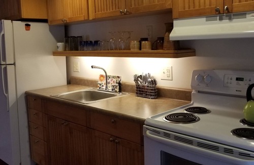 Tecumseh Ski Chalet | WIFI! Big Oak Cabin, ozarks, hot tub, rivers!