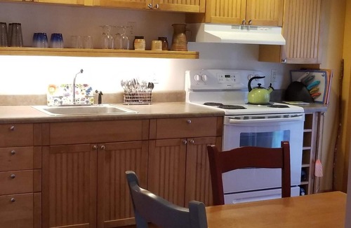 Tecumseh Ski Chalet | WIFI! Big Oak Cabin, ozarks, hot tub, rivers!