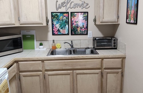 Harlingen Condo | Wild Cactus 🌵
