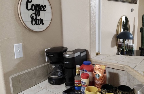 Harlingen Condo | Wild Cactus 🌵