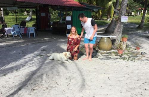 Pulau Tuba Hotel | Wild Pasir Panjang