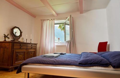 Isorno Apartment | Wild Valley Palm Garden in Valle Onsernone