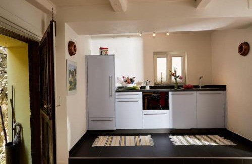 Isorno Apartment | Wild Valley Palm Garden in Valle Onsernone