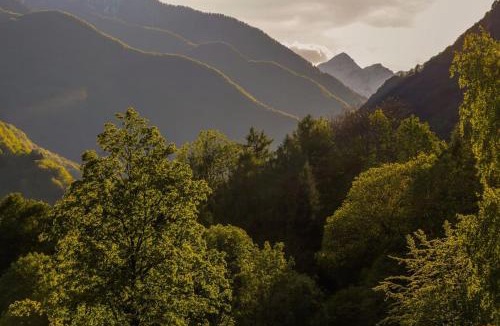 Russo Apartment | Wild Valley Puro Ticino 2 in Valle Onsernone
