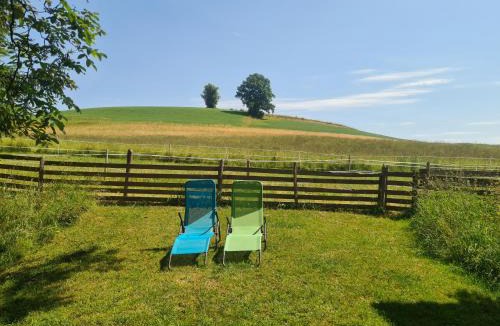 Mirchel House | Wild Wild Arnistein
