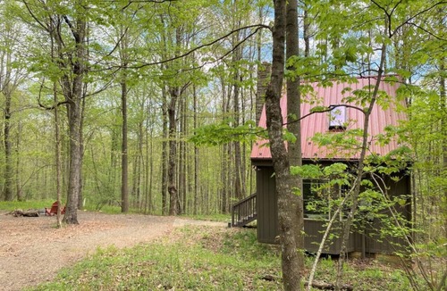 Meadows Of Dan Cabin | Wildcat Forest - a tiny cabin with lots of charm, by Buffalo Mountain Getaway