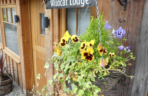 Boat of Garten Cottage | Wildcat Lodge - Retreat Group