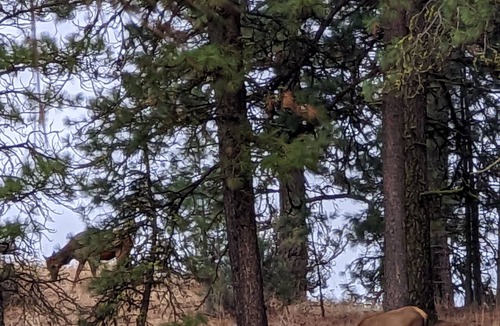 Garden Valley Cabin | Wildedge Ranch Yurt