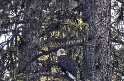 Garden Valley Cabin | Wildedge Ranch Yurt