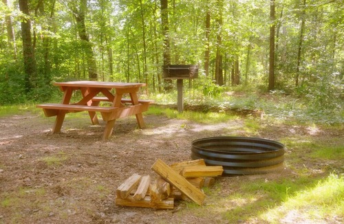 Octavia Cabin | Wilderness Lake Cabin