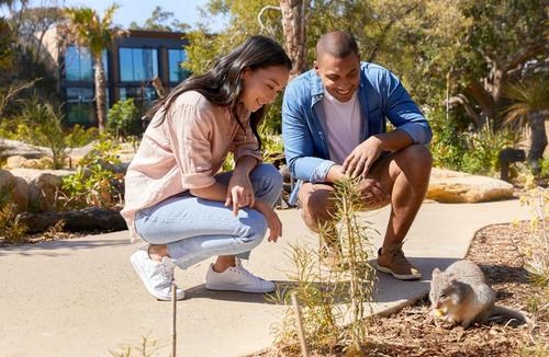 Mosman Hotel | Wildlife Retreat at Taronga