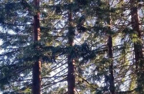 Inverness House | Wildwood - A 1904 Classic