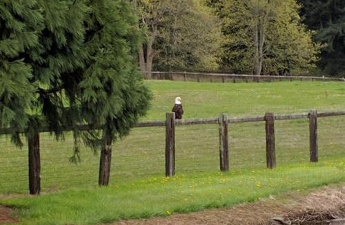 Oak Harbor Bed & Breakfast | Wildwood Farm Bed & Breakfast