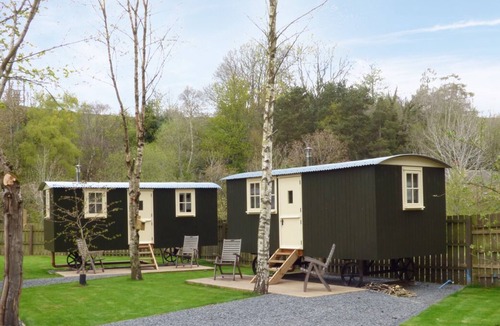 Haltwhistle Cabin | WILLIAM'S HIDE, pet friendly, with open fire in Haltwhistle