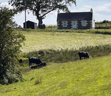 Newbridge House | Williamsfield Cottage