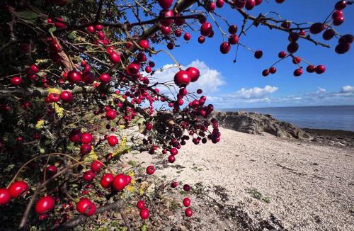 Newbridge House | Williamsfield Cottage