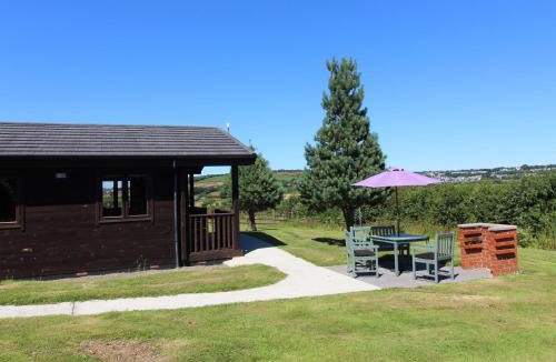 Bodmin House | Willow Lodge