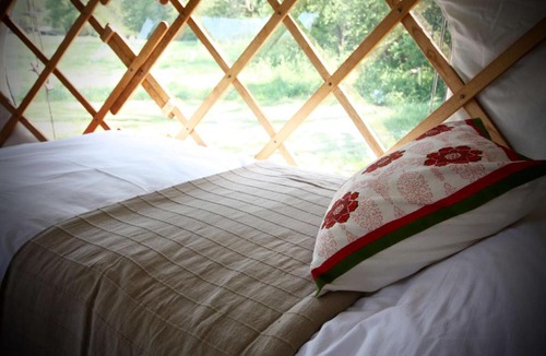 Haslemere Other | Willow Yurt