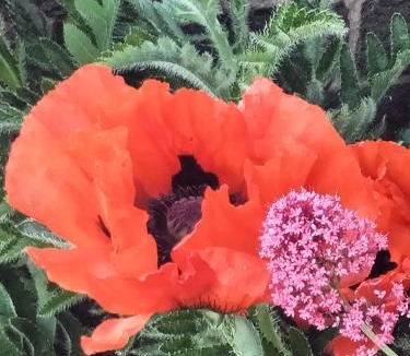 Crowle House | Willows 108 Caravan - 7 Lakes