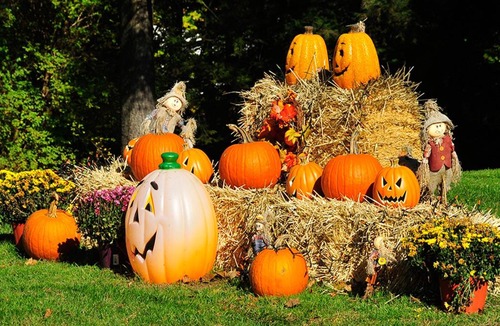 Williamstown Hotel | Willows Motel