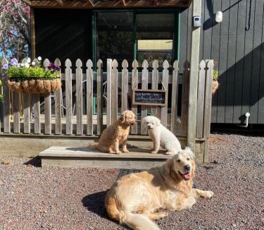 Kumeu Cabin | Willows Reach Lodge