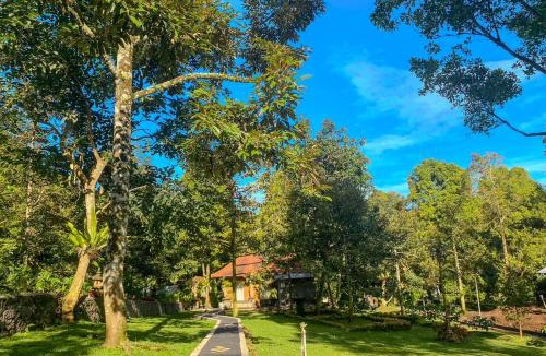 Munduk Hotel | Wimala Farm House
