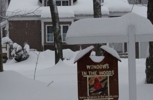 Coudersport House | Windows in the Woods