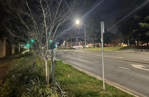 Windsor House | Windsor heritage house