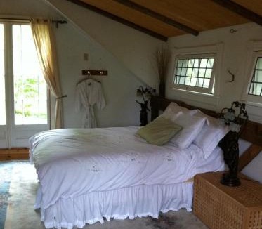 Trent Hills House | Windswept on the Trent