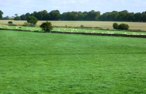 Nettleton Bed & Breakfast | Windylands