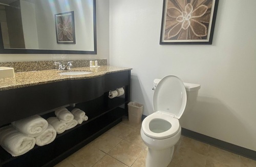Bayou Cane Hotel | Wingate by Wyndham Houma LA