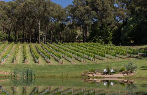 Red Hill South House | Winifred