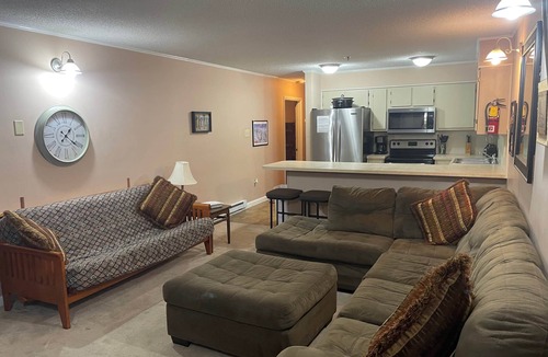 Ghent Apartment | Winterplace Condo D302