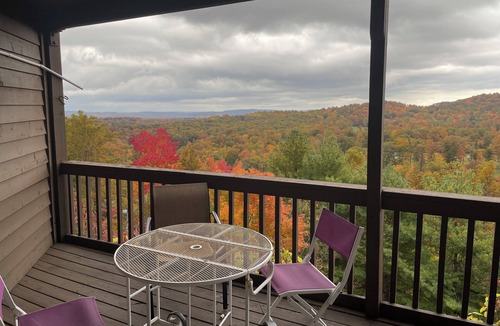 Ghent Apartment | Winterplace Condo D305