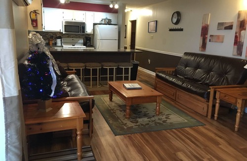 Ghent Apartment | Winterplace Condo E303